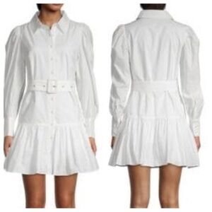 Walter Baker Tara Tiered Belted Dress